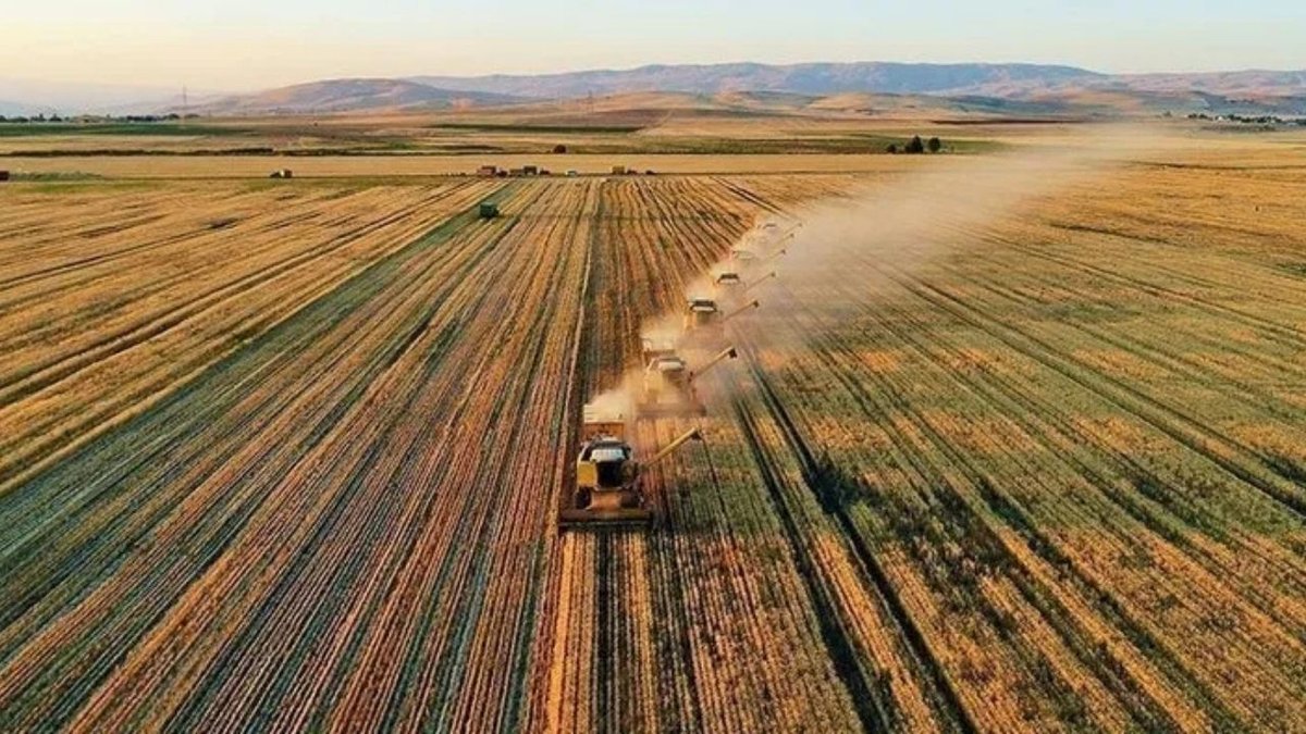 Tarım Üretici Fiyat Endeksi Nisan'da Artış Göstermiştir: Yıllık Yüzde 42,53