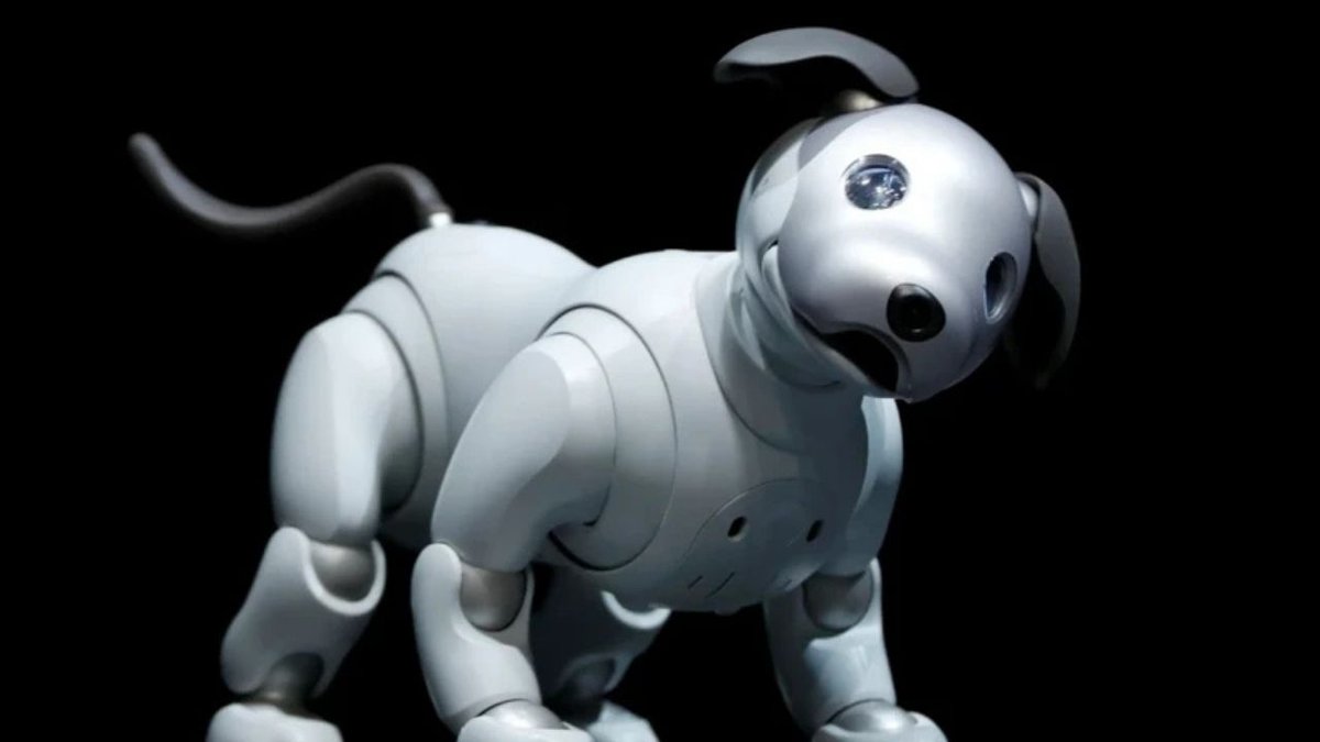 Sony’den Sürpriz Karar! Efsane Robot Köpek Aibo’nun Satışı Durduruldu