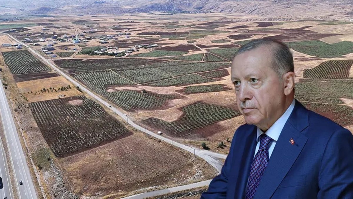 Cumhurbaşkanı Erdoğan’ın Çağrısı Karşılık Buldu: Sivas’ta Ayçiçeği Ekimi Yüzde 109 Arttı