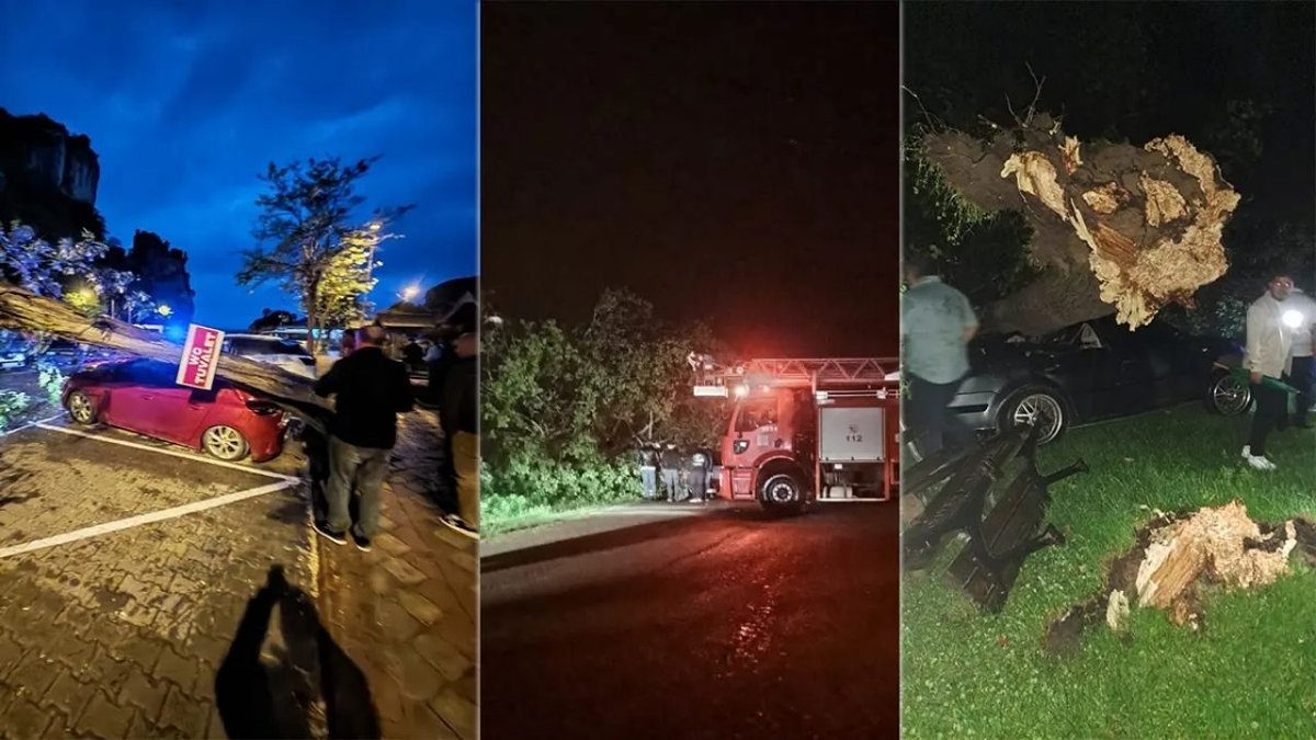 Bartın’ı Fırtına Vurdu: Ağaçlar Devrildi, Araçlar Hasar Gördü, Trafik Aksamaları Yaşandı