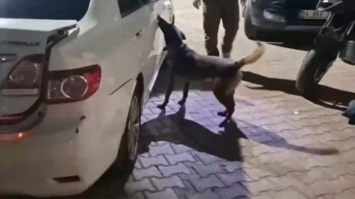 Sakarya’da Narkotik Operasyonunda Darbe Uyuşturucu Sevkiyatına 2 Tutuklama