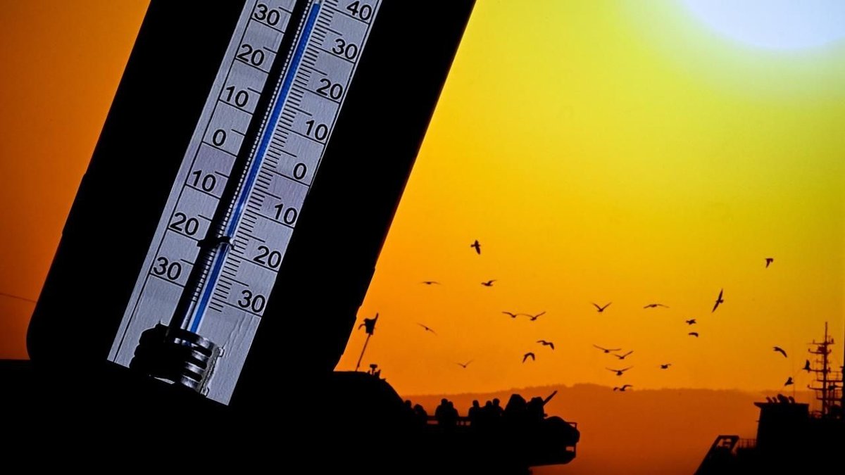 Belçika’da Ülke Genelinde Sıcak Hava Alarmı Verildi