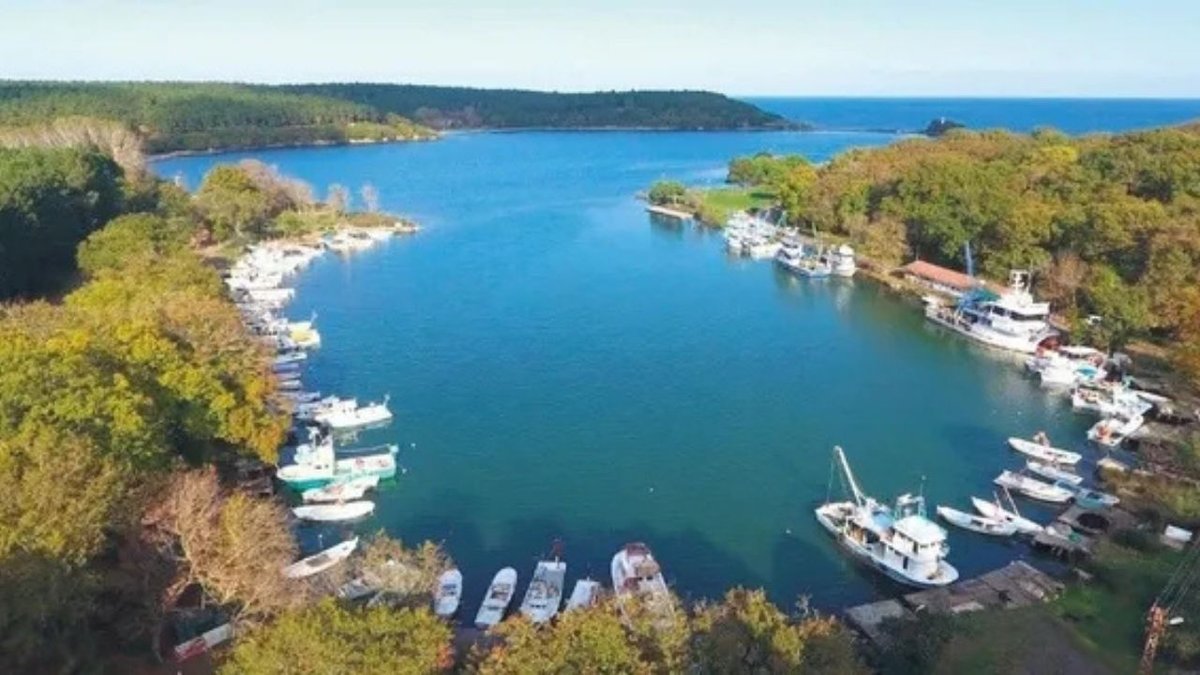 Karadeniz’de Huzur Molası: Doğa, Tarih ve Sessizlikle Yenilenin
