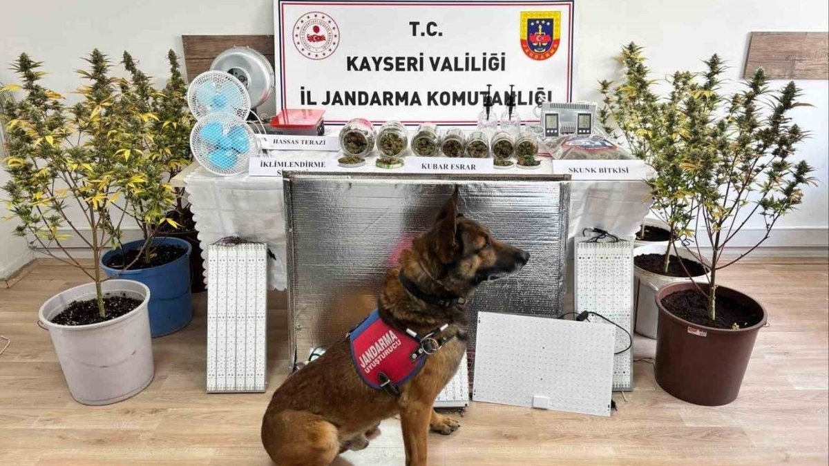 Kayseri’de Uyuşturucu Operasyonu: 1 Gözaltı, 830 Gram Madde Ele Geçirildi