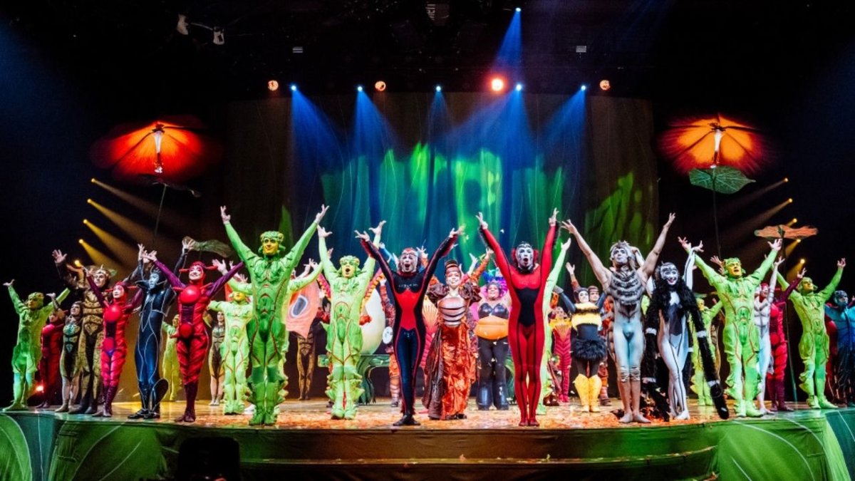 Cirque du Soleil 10 Yıl Aradan Sonra İstanbul’da: ‘OVO’ Gösterisi Büyüledi