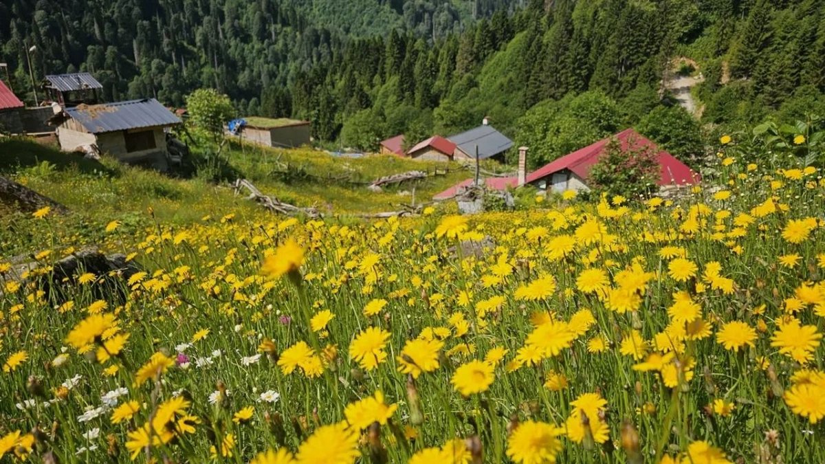 Kaçkar Dağları Renk Değiştirdi Doğaseverlerin Yeni Rotası Oldu