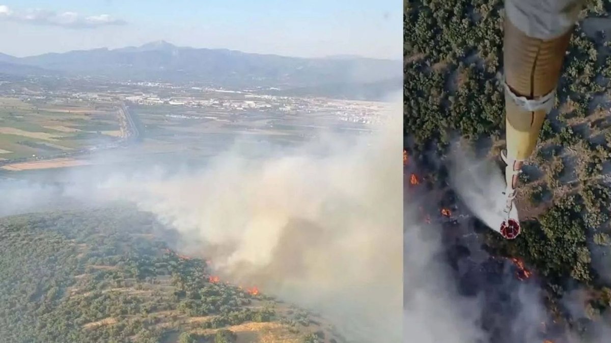 İzmir’de Orman Yangını Korkuttu Ekiplerin Hızlı Müdahalesiyle Kontrol Sağlandı