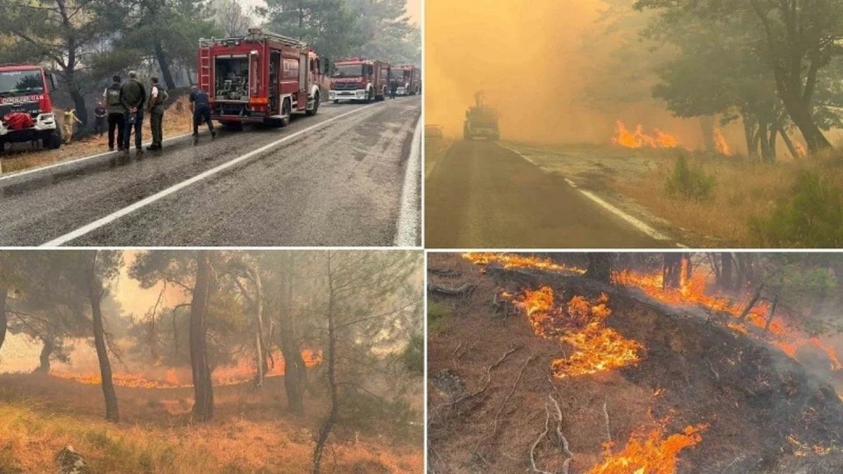 Balıkesir’deki Orman Yangınının Nedeni Ortaya Çıktı: 2 Şüpheli Tutuklandı