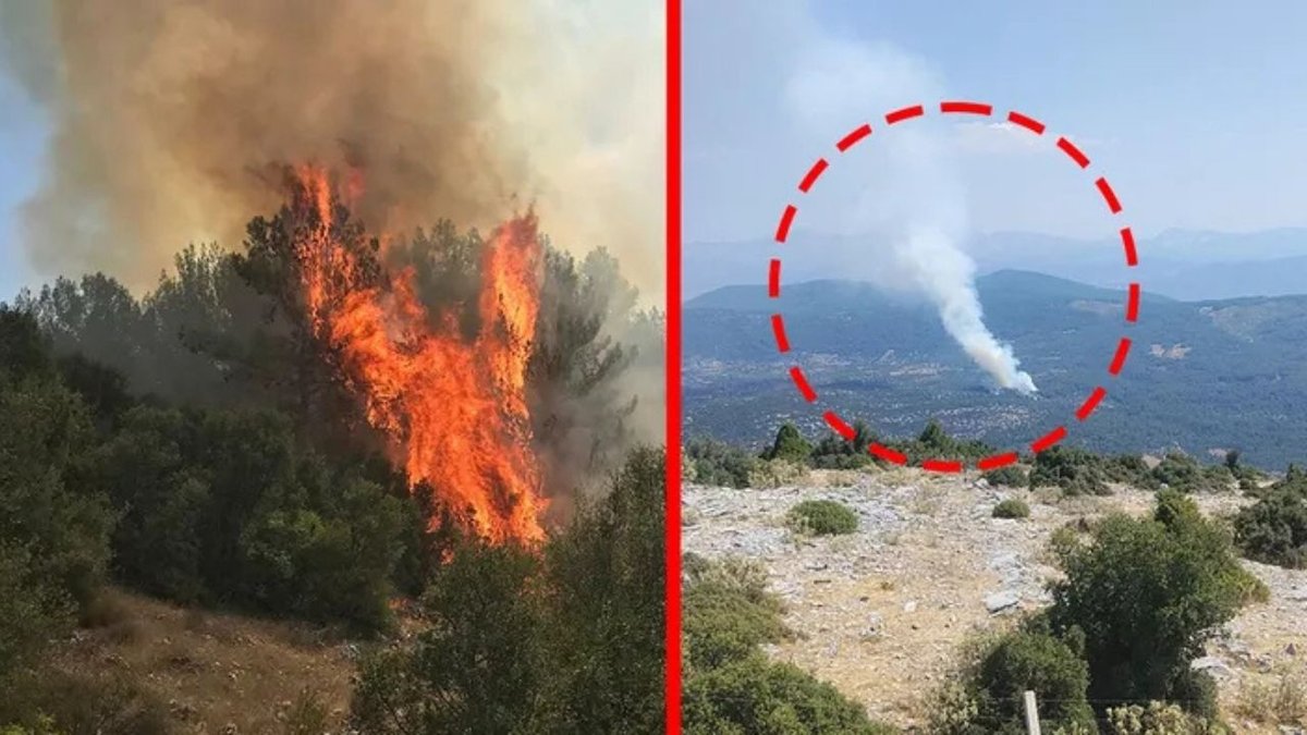Muğla’da Orman Yangını: Ekiplerin Havadan Ve Karadan Müdahalesi Sürüyor
