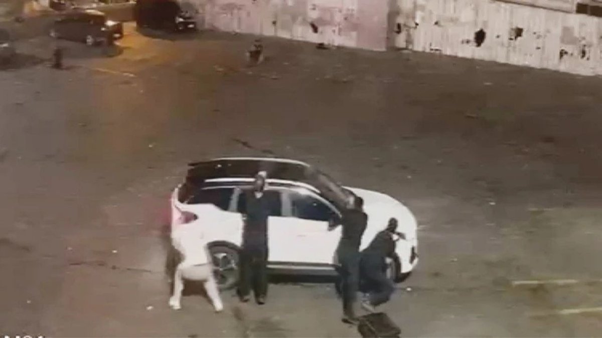 DEAŞ Bağlantılı Şüphelinin Saldırı Planı Operasyonla Engellendi