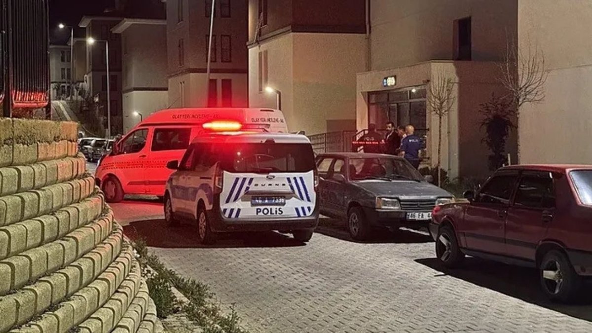 Bingöl’de Panelvan-At Çarpışması: 1 Ölü, 2 Yaralı