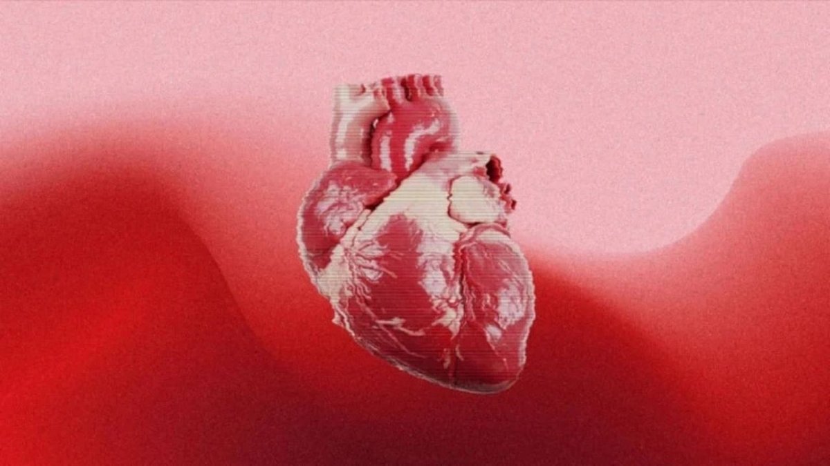 Bilim İnsanlarından Doğuştan Kalp Hastalıklarını Açıklayabilecek Yeni Keşif